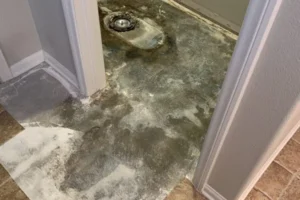 water damage restoration