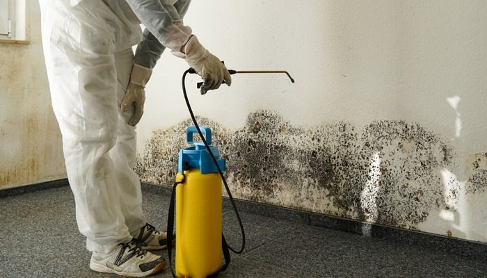 Mold remediation